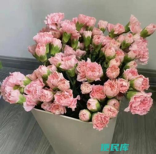 情人节应该送什么花给妻子（情人节送给妻子的合适鲜花推荐）