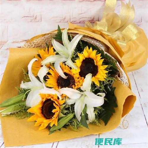 父亲节适合送什么花（推荐适合父亲节送的花卉）