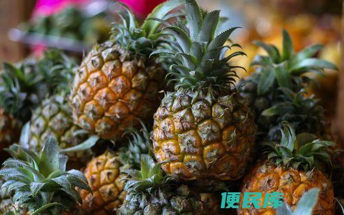 菠萝成熟季节揭秘（菠萝几月份成熟）