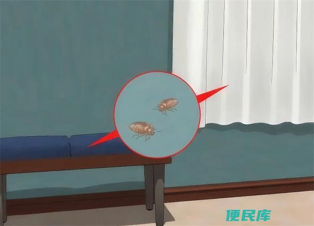 床虱<font color='#ff7200'>彻底</font>消灭方法（有效消灭床虱的技巧探索）