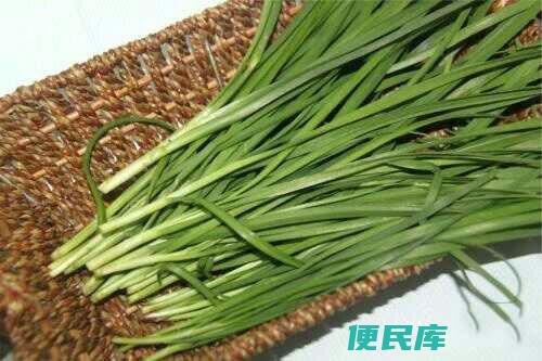 韭菜钓草鱼逢草必杀(用韭菜钓草鱼的杀手技巧)