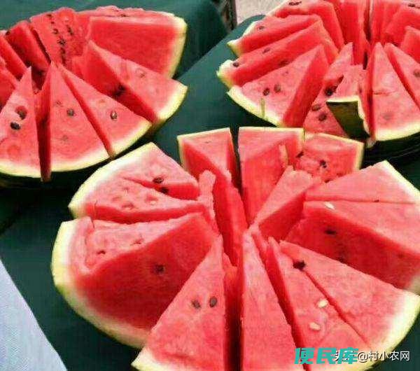 西瓜的品种图片及名称（最常见的10大西瓜品种介绍）