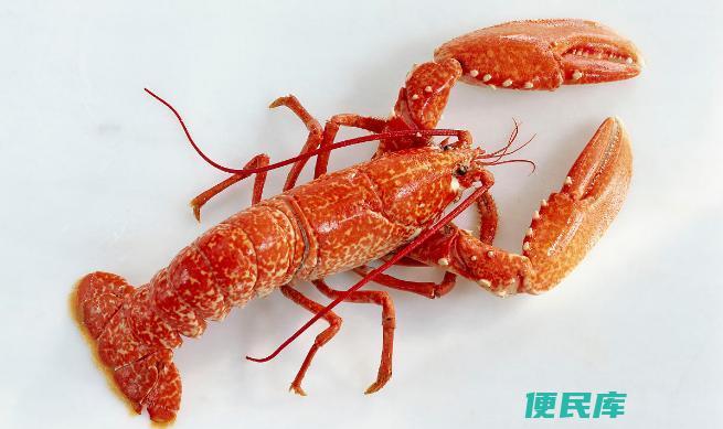 钓龙虾的最佳季节是几月份（寻找钓龙虾的黄金季节）