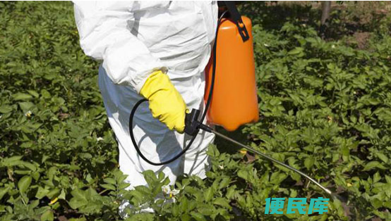 农药什么时候打效果最好（农药使用的注意事项）
