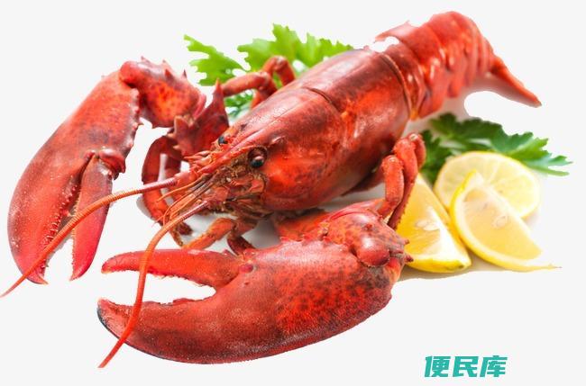 钓龙虾的最佳工具选择（了解最适合钓龙虾的工具）