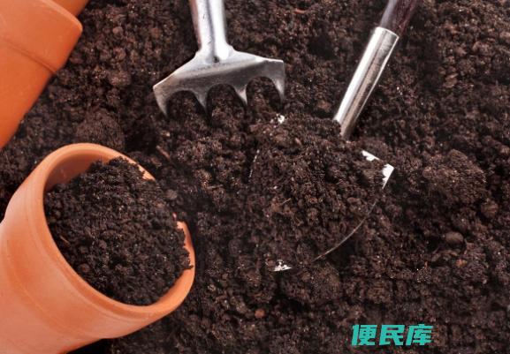 咖啡渣如何发酵成花肥（利用咖啡渣发酵成花肥的步骤）