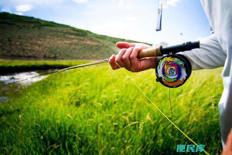 野钓鱼竿几米的最好最实用（野钓鱼竿的最佳长度和实用程度）