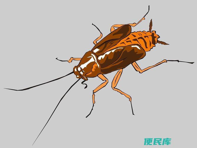 蟑螂寿命多少天（蟑螂的寿命一般有多长）