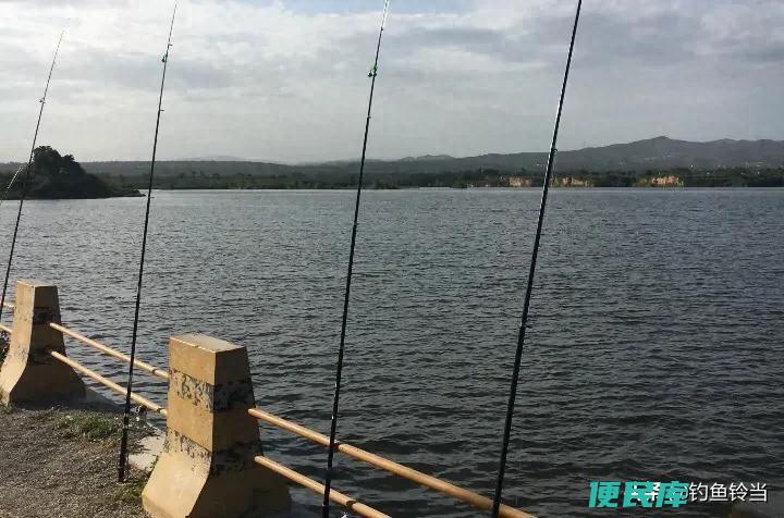 钓鱼是买海竿好还是路亚竿好（如何挑选适合自己的鱼竿）