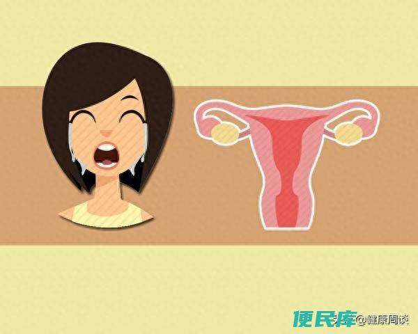 经期怎么计算周期呢（女人的月经周期为何有长有短）