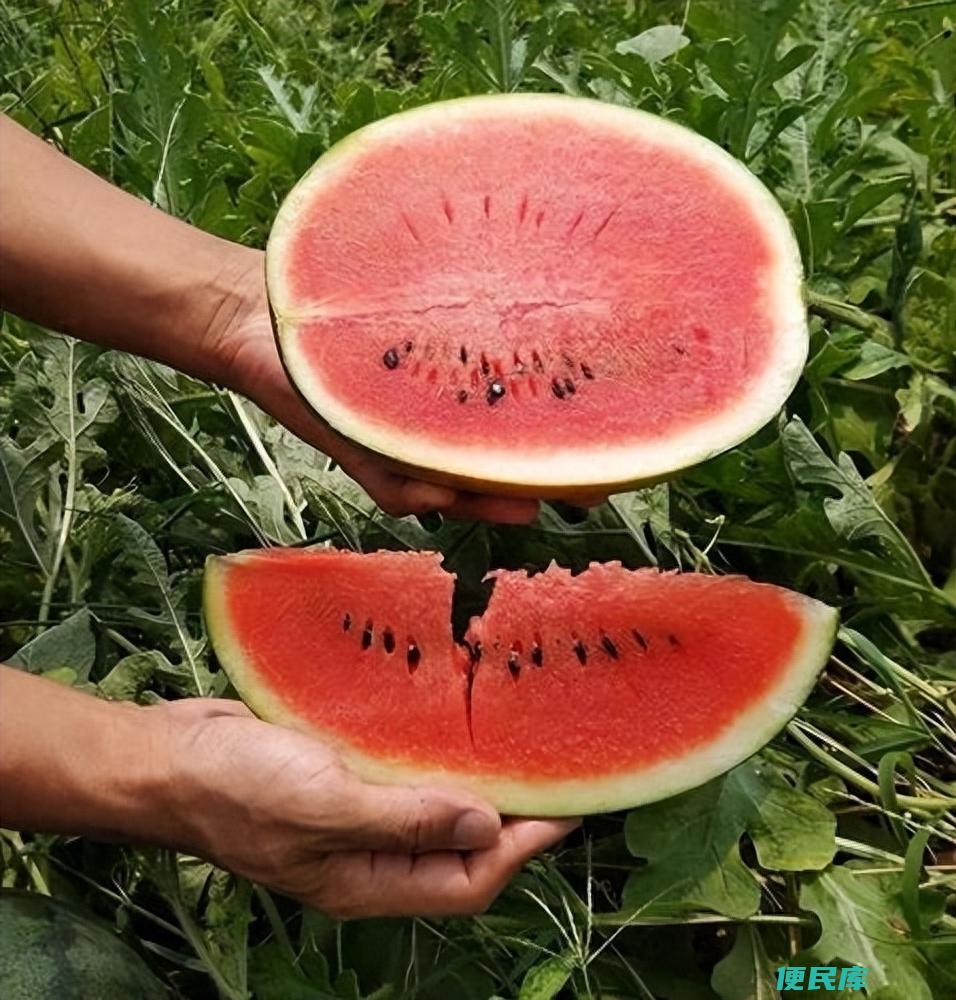 e73c24da67a24fd9ab34aef8909543cd~tplv-tt-origin-asy2 5aS05p2hQOWugeaeq-iJvg==.jpg