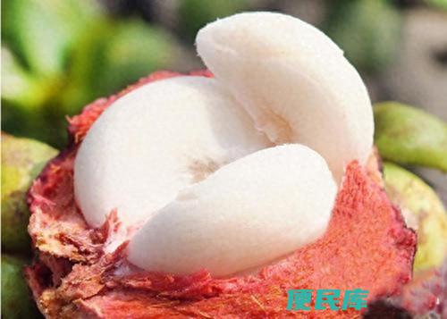 山竹变黄了是不是坏了（山竹里面那一坨黄黄的是什么）