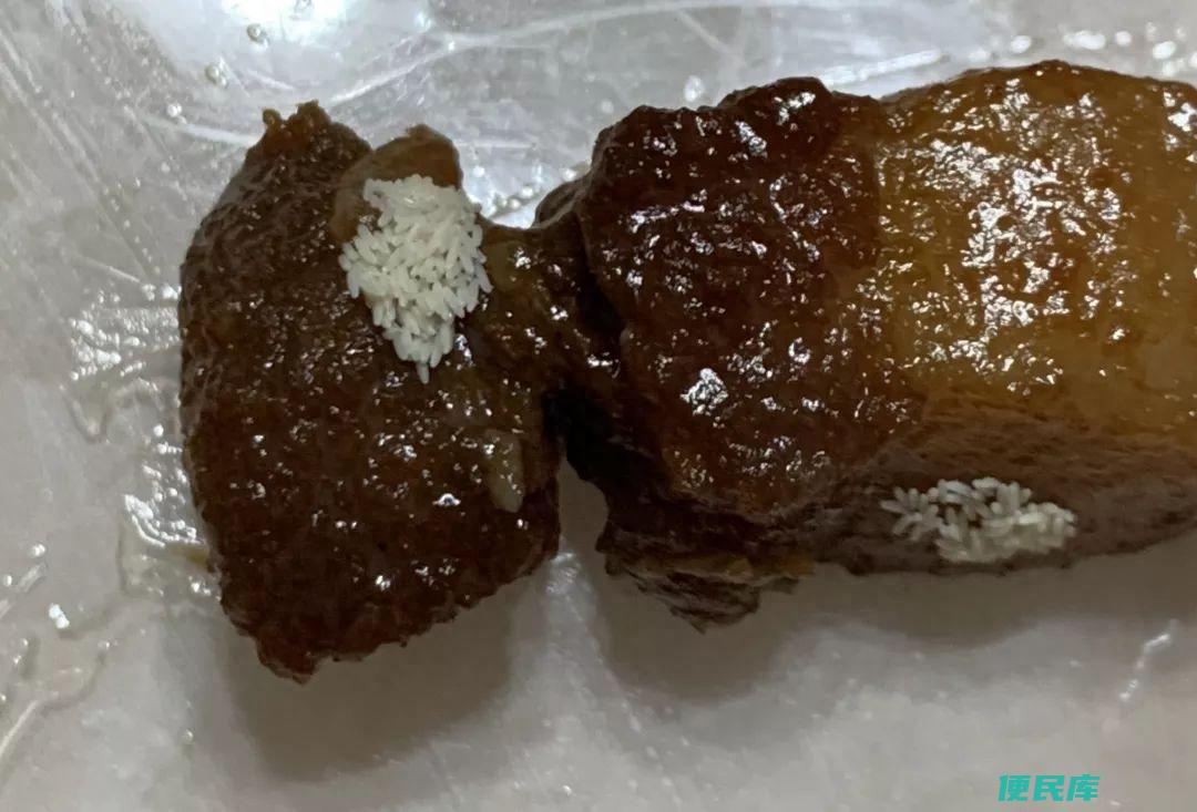 苍蝇是怎么形成的呢（了解苍蝇的生命周期和产生过程）