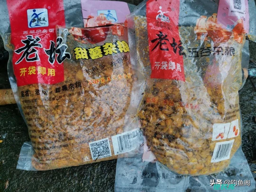 老坛玉米钓鲤鱼窍门（老坛玉米打碎后应该如何配饵）