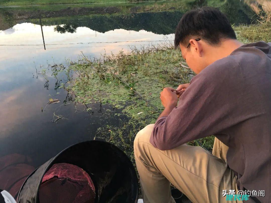 钓鱼空军是什么意思啊（关于钓鱼人常用的术语解释）