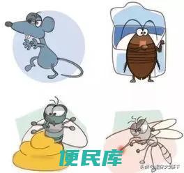 四害是指哪4种生物（麻雀为什么成为了四害之一呢）