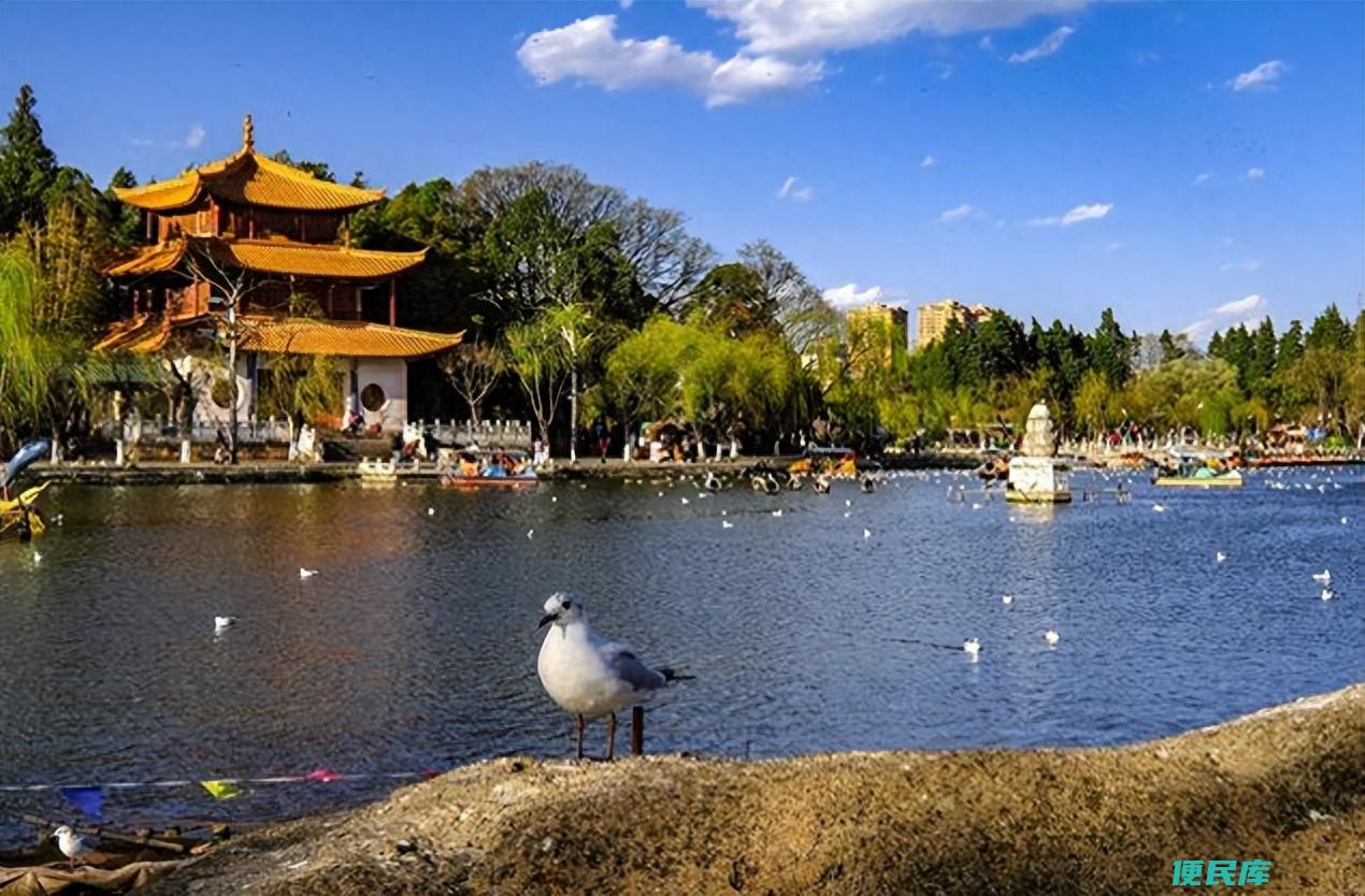 昆明是哪个省的城市（昆明为何能成为云南省的省会）