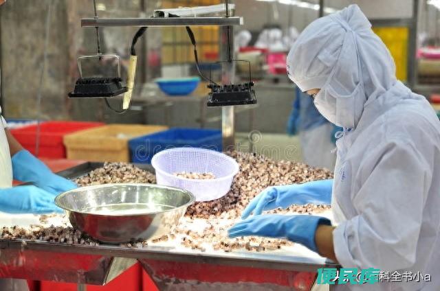 怎么辨别奶粉真假（通过哪些方面可以判断奶粉的真伪）