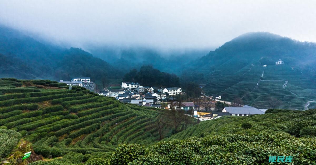 西湖龙井茶产地在哪里（哪里产的西湖龙井茶最好喝）