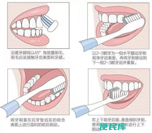 正确刷牙方法介绍（如何给宝宝进行正确的口腔清洁）