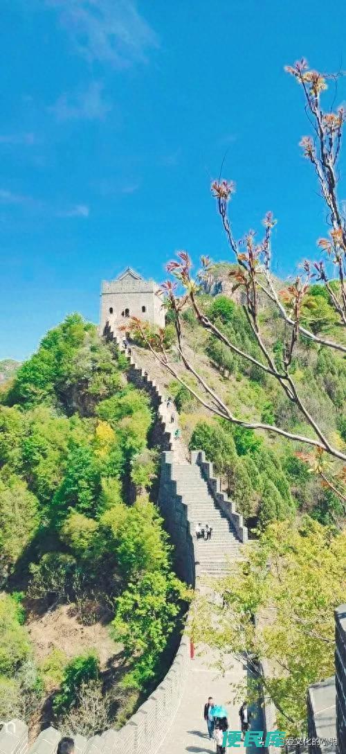 不到长城非好汉是什么意思（不到长城非好汉的下一句）
