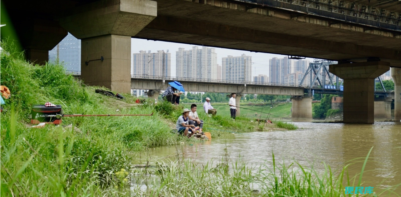 涨水钓鱼钓深还是钓浅（涨水时钓鱼的最佳水深选择）