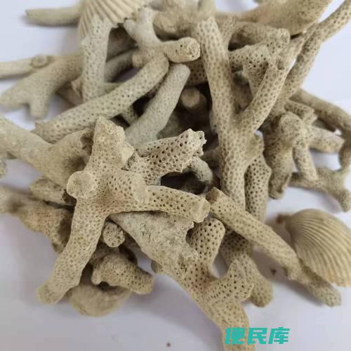 珊瑚骨在<font color='#ff7200'>鱼缸</font>中的效用(了解珊瑚骨在<font color='#ff7200'>鱼缸</font>过滤中的作用)