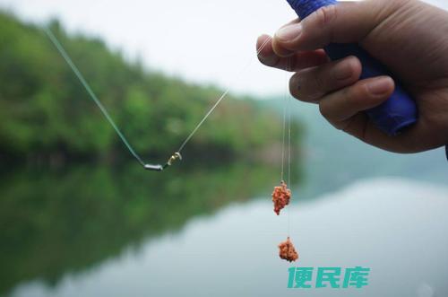 钓鱼使用什么长度的子线合适(确定合适的钓鱼子线长度)