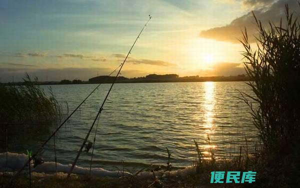 钓鱼最佳时间是早晨几点（钓鱼的最佳时间是早晨几点）