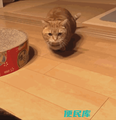 怎么判断猫的肛门腺要不要挤（肛门腺出现异常的特点）
