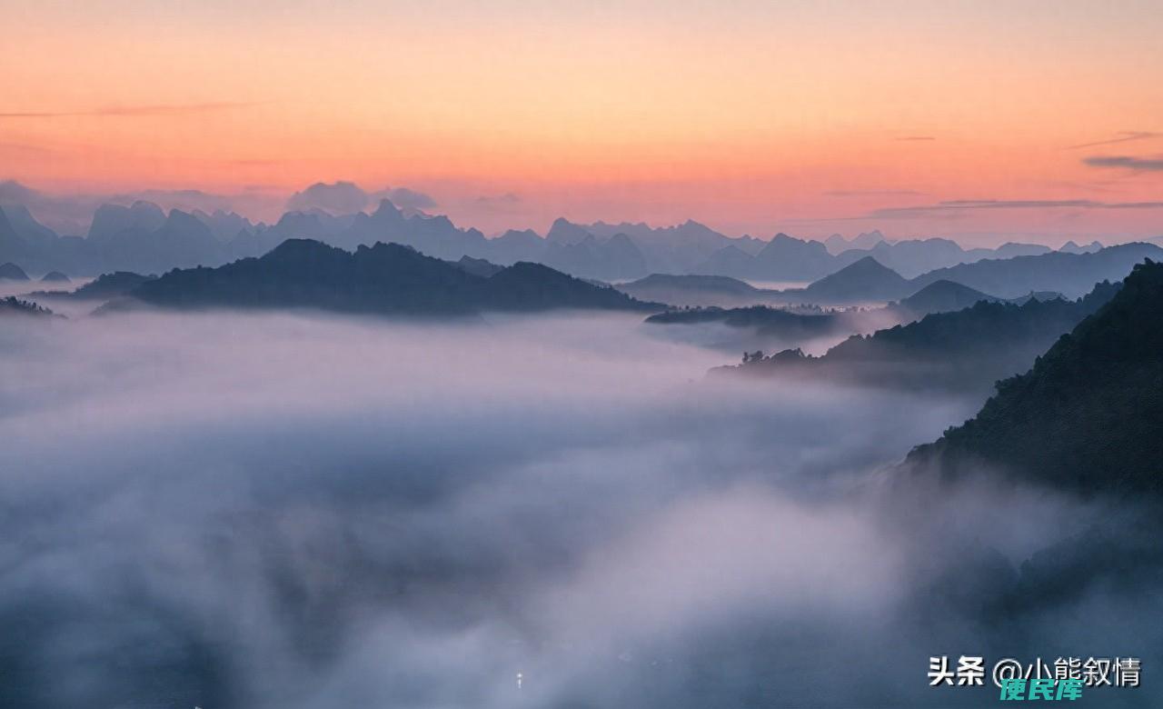 锦鲤体质什么意思呢（锦鲤体质是怎么培养出来的呢）