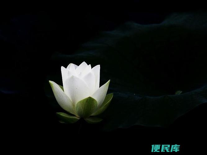 仙逝指的是何种年龄阶段（仙逝指的是哪个年龄段）