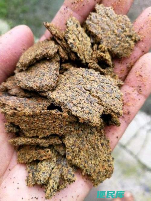 葡萄树适合的肥料（为葡萄树提供最佳肥料）