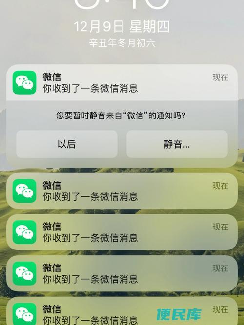 微信消息免打扰还能收到信息吗（了解微信消息免打扰模式下的接收情况）