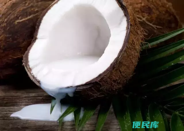 椰子内的白色果肉食用（椰子内的白色果肉可否食用）
