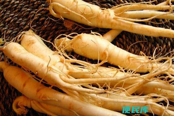 人参和西洋参的区别与功效（人参和西洋参的区别与益处）
