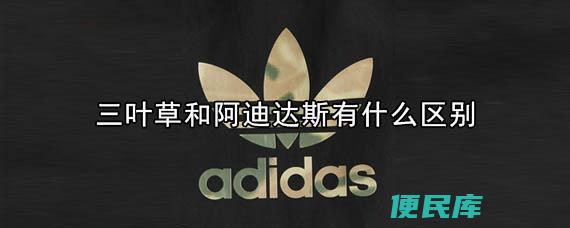 三叶草和阿迪达斯有什么区别（对比三叶草和阿迪达斯之间的差异与特点）