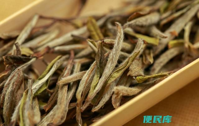 喝白茶的好处和坏处（分析喝白茶的利弊）