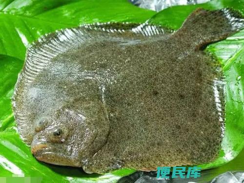 多宝鱼是淡水鱼还是海水鱼（多宝鱼属于淡水鱼还是海水鱼）