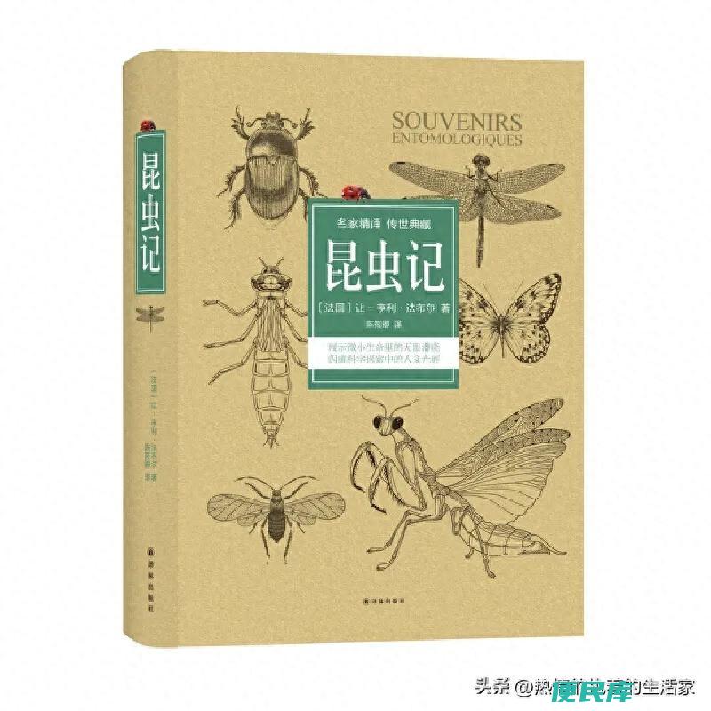 八年级必看10本课外书（初中生必读的十本优质好书）