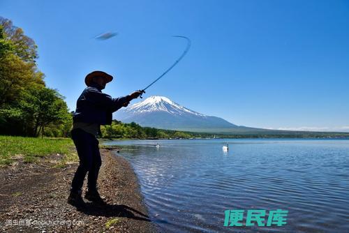 1.5子线适合钓鱼的大小(根据1.5子线能钓的鱼种大小)