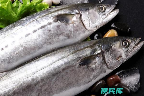 三文鱼是金枪鱼吗（三文鱼和金枪鱼是否为同种鱼类）