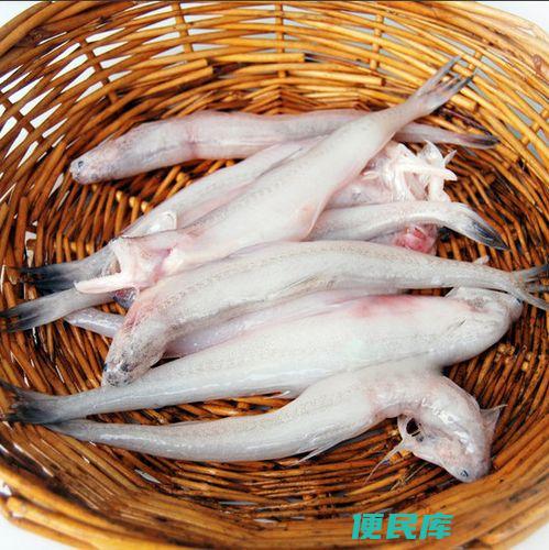九肚鱼海鱼还是淡水鱼（九肚鱼属于海鱼还是淡水鱼）
