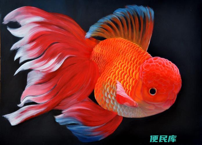 什么小动物最好养（哪些小动物适合养殖）