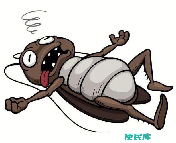 卧室有蟑螂怎么办（清除卧室蟑螂的技巧）