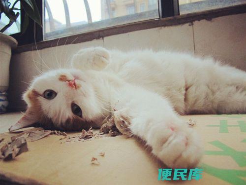 好无聊怎么办（克服闲暇时的无聊方法）