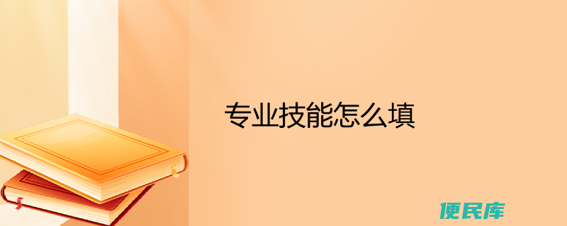 填写专业技能（填写个人专业技能的操作指南）