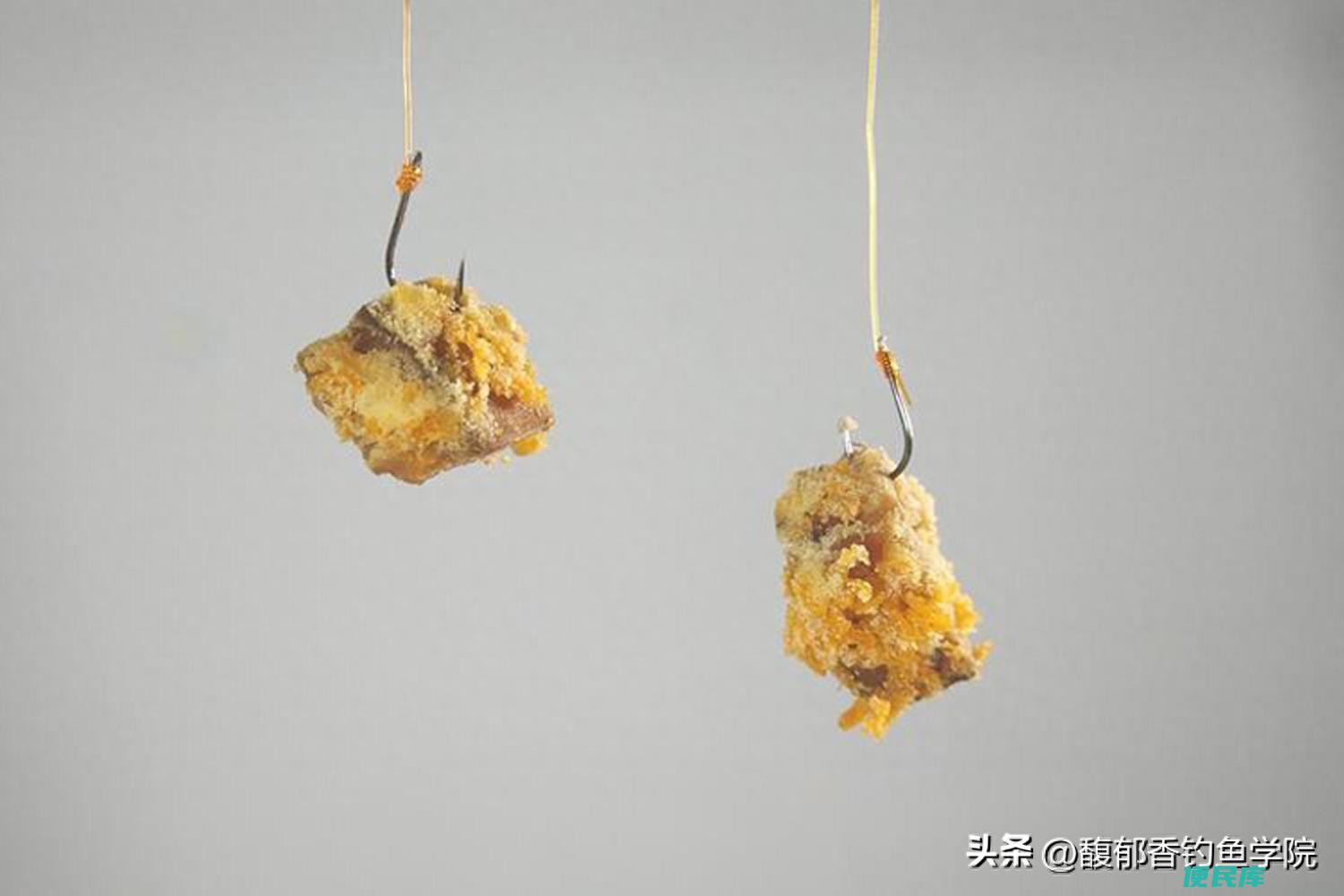 钓鲢鳙有口打不到鱼怎么回事（鲢鳙不咬钩的5个原因）