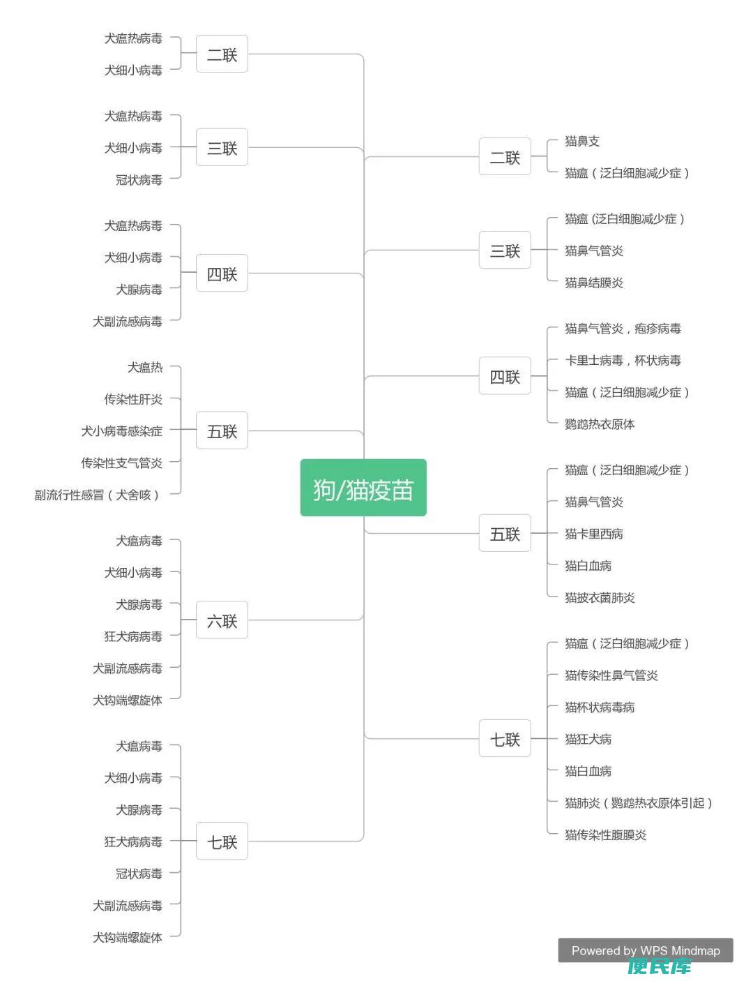 狗狗疫苗怎么打（宠物狗注射疫苗的顺序以及注意事项）
