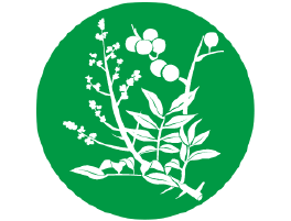 名贵中药材批发